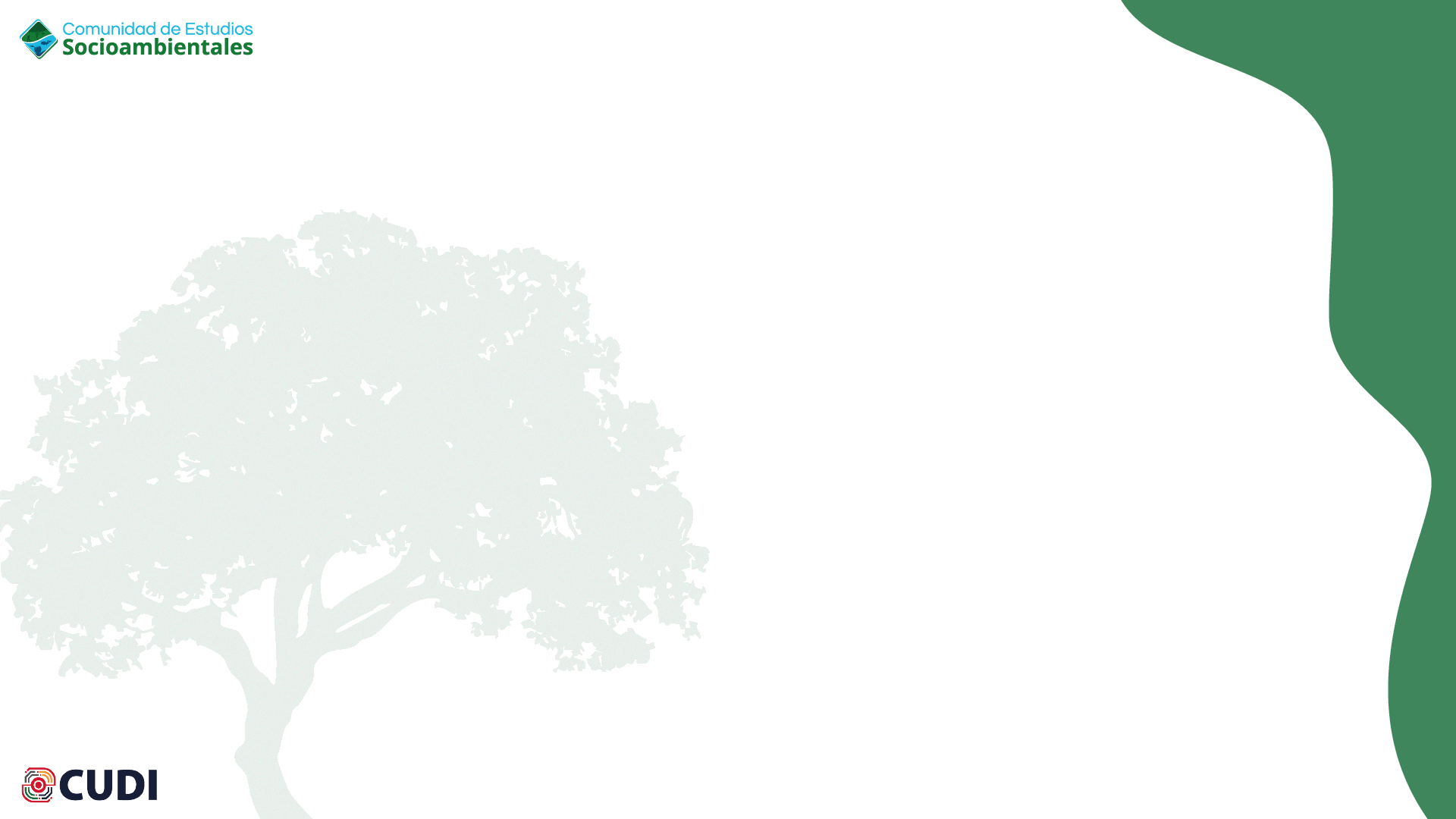 Plantiilla para presentaciones